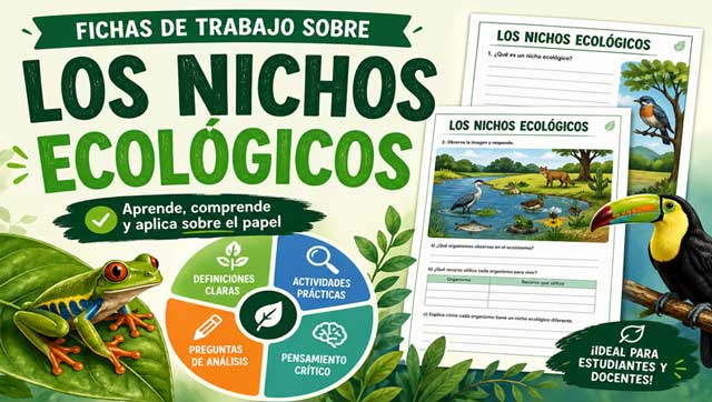 Fichas de trabajo sobre los nichos ecológicos
