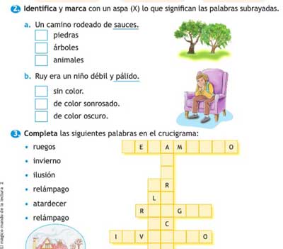 Ficha de trabajo sobre la niña del papagayo para el Plan lector